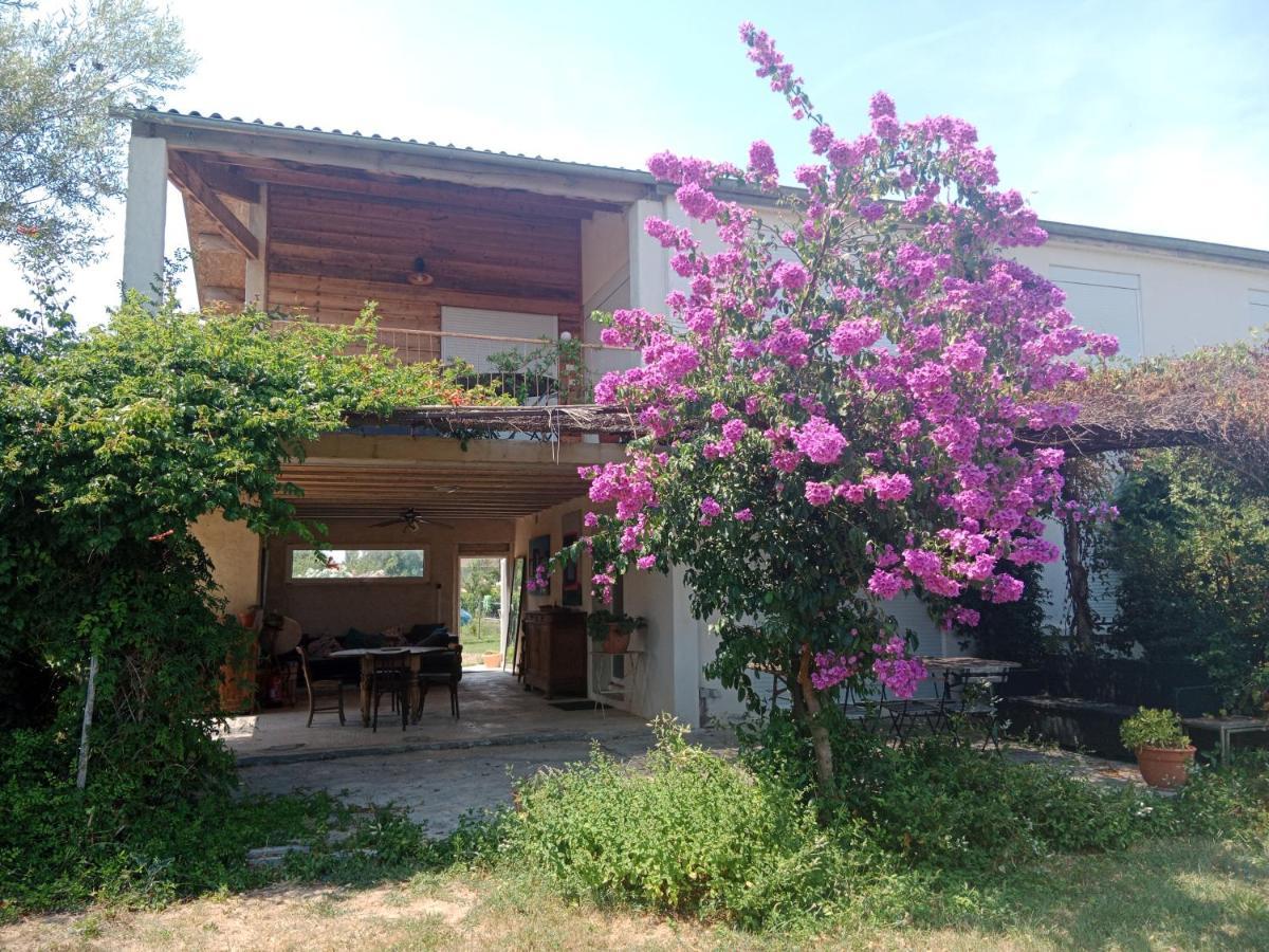 Domaine Limouzy Villa นาร์บอนน์ ภายนอก รูปภาพ