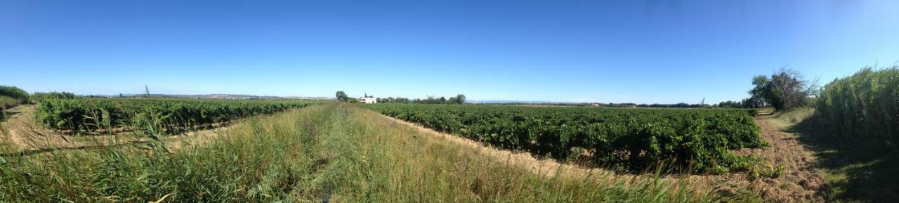 Domaine Limouzy Villa นาร์บอนน์ ภายนอก รูปภาพ