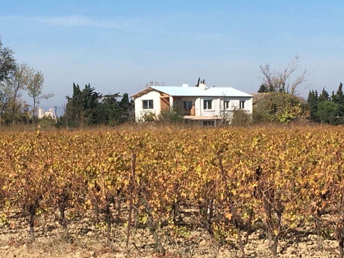 Domaine Limouzy Villa นาร์บอนน์ ภายนอก รูปภาพ